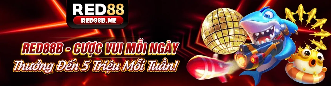 Banner chính trang blog dk68 link vào 2026
